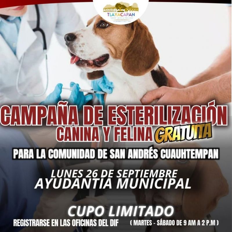 Campaña de esterilización en la comunidad de San Andrés
